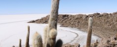 La Bolivie, la face méconnue de l’Amérique latine