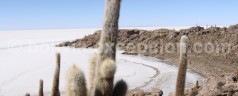 Le salar d’Uyuni, joyau de la Bolivie !
