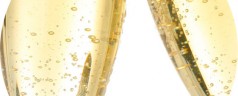 Présentation et dégustation d&rsquo;un Champagne de renom